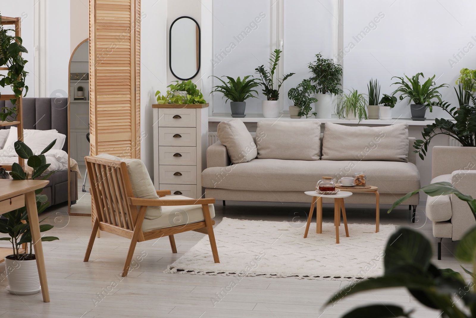 Photo of Stylish room with different potted green plants and comfortable sofa. Interior design