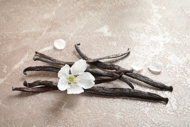 Vanilla sticks and flower on grey background