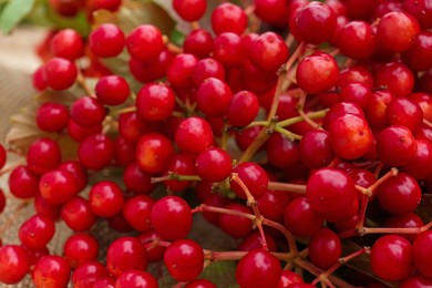 Photo of Closeup view of ripe red viburnum berries
