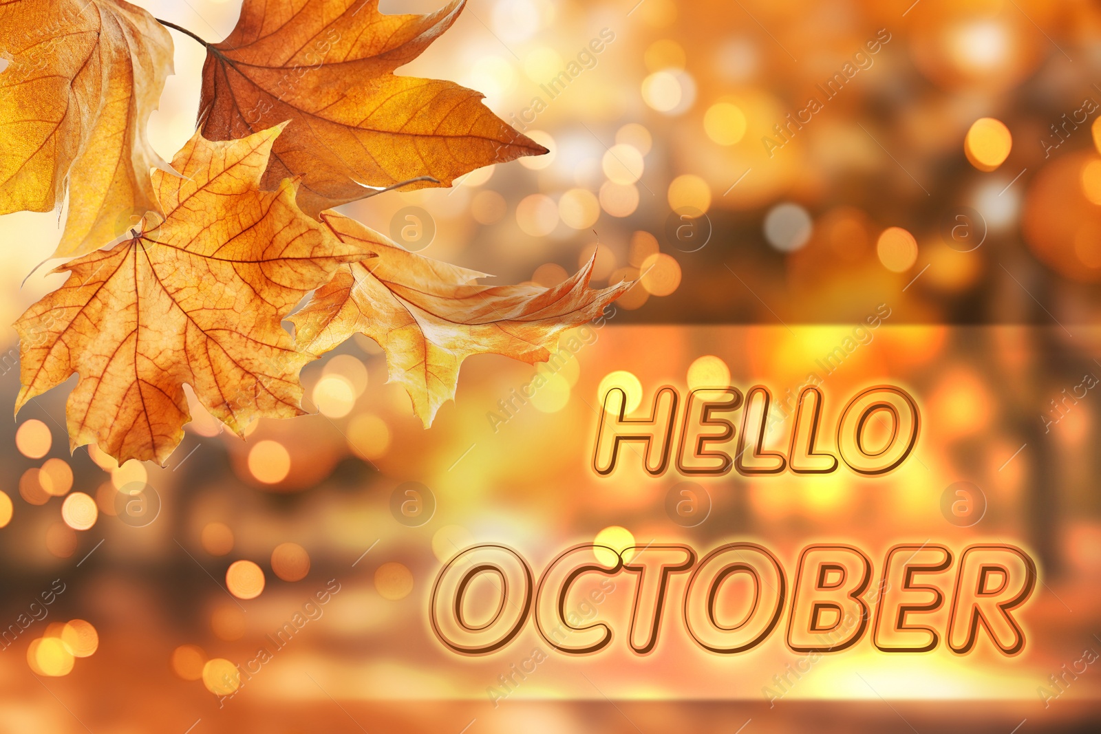 Image of Text Hello October and autumn leaves on blurred background, bokeh effect