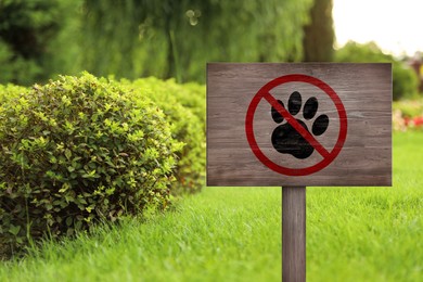 Image of Wooden sign board NO DOGS ALLOWED on green lawn