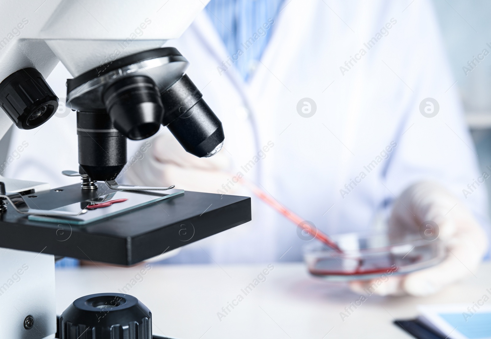 Photo of Slide with blood sample on microscope in laboratory, closeup. Virus research