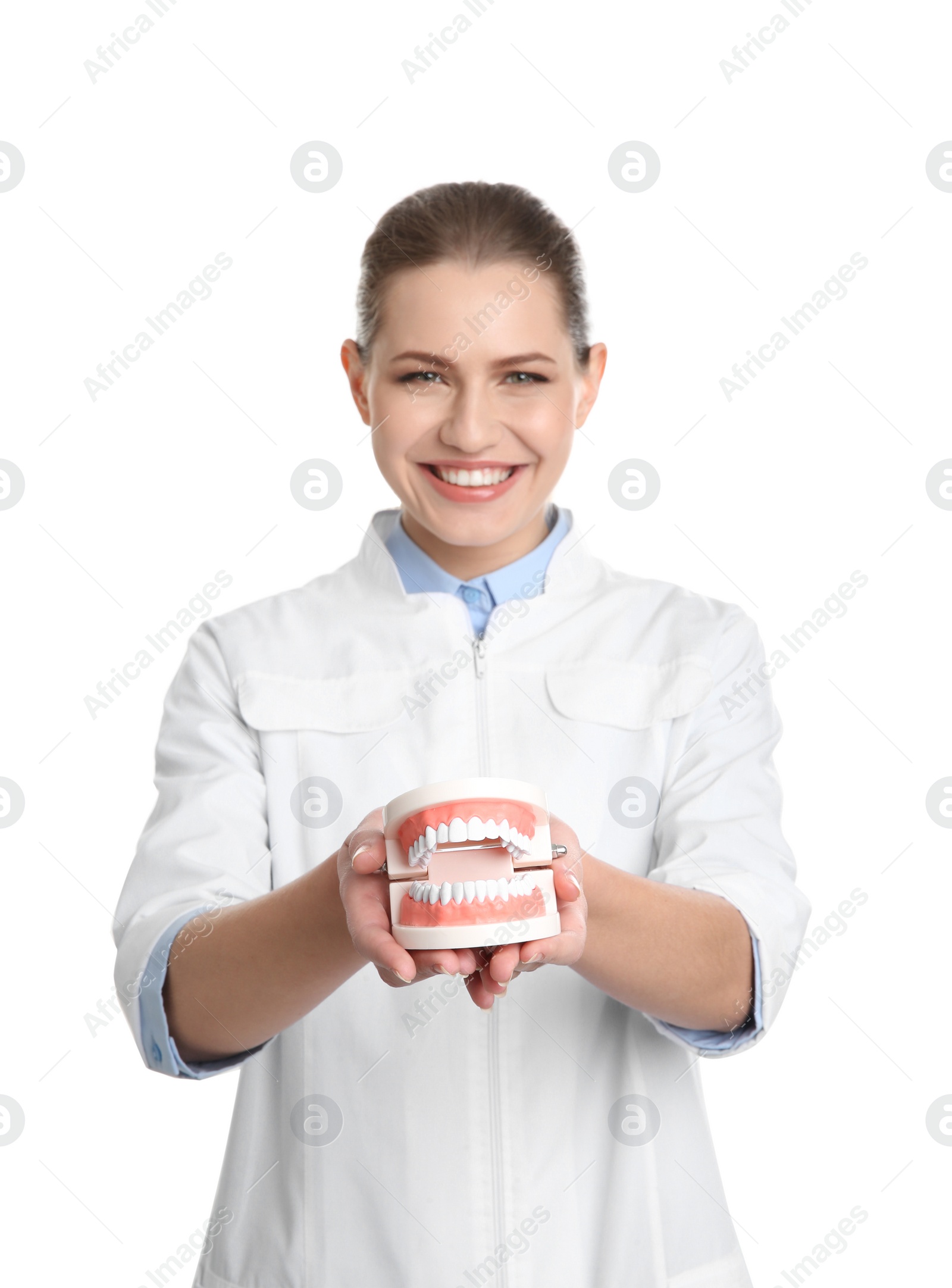 Photo of Female dentist holding jaws model on white background