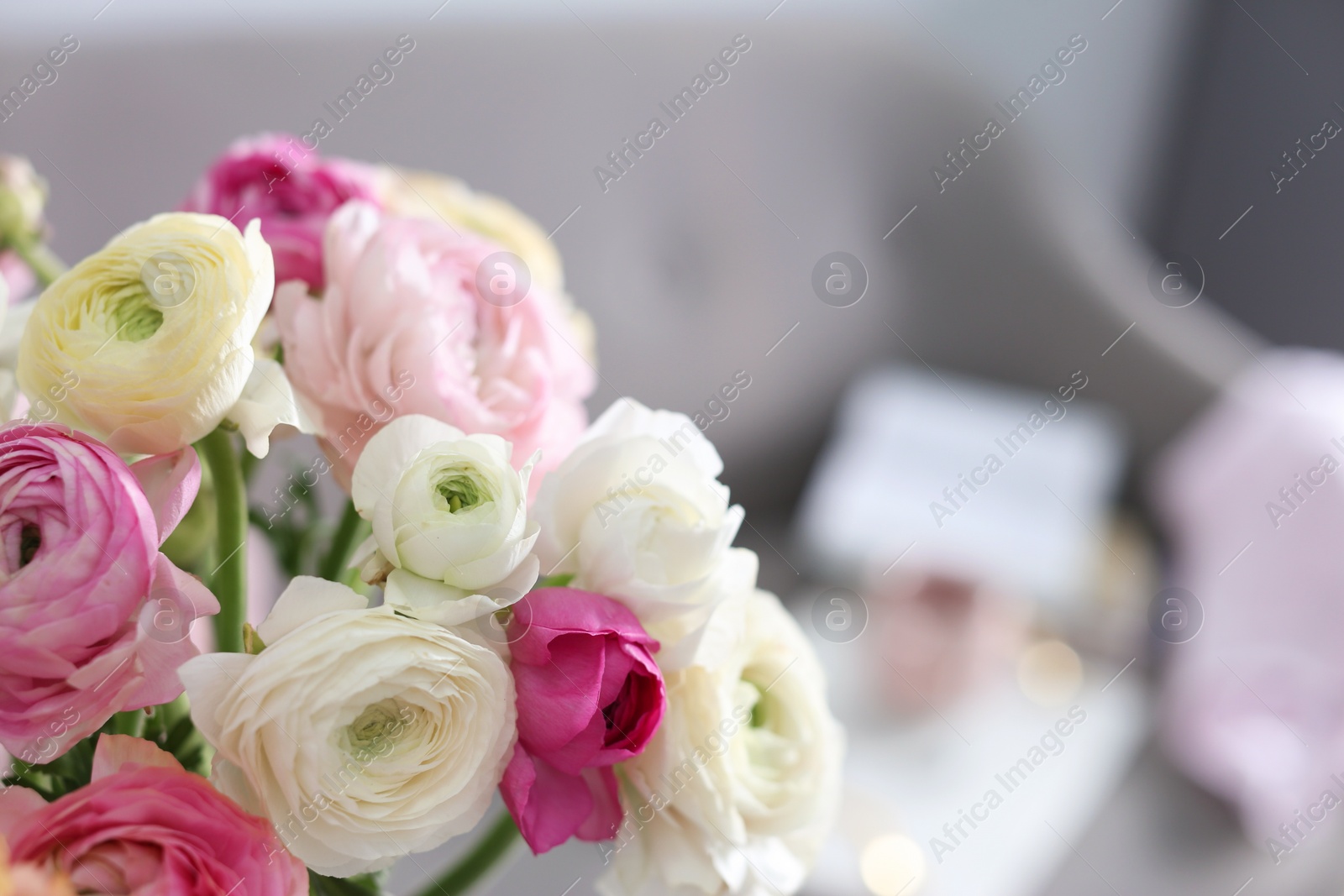 Photo of Bouquet of beautiful ranunculuses on blurred background. Space for text