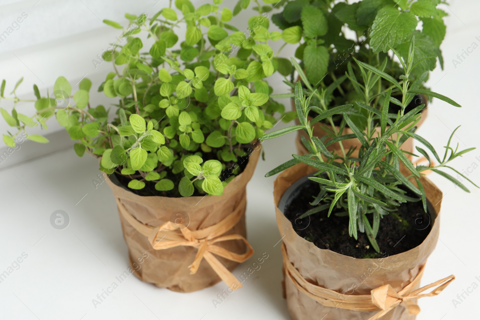 Photo of Different aromatic potted herbs on windowsill indoors, closeup