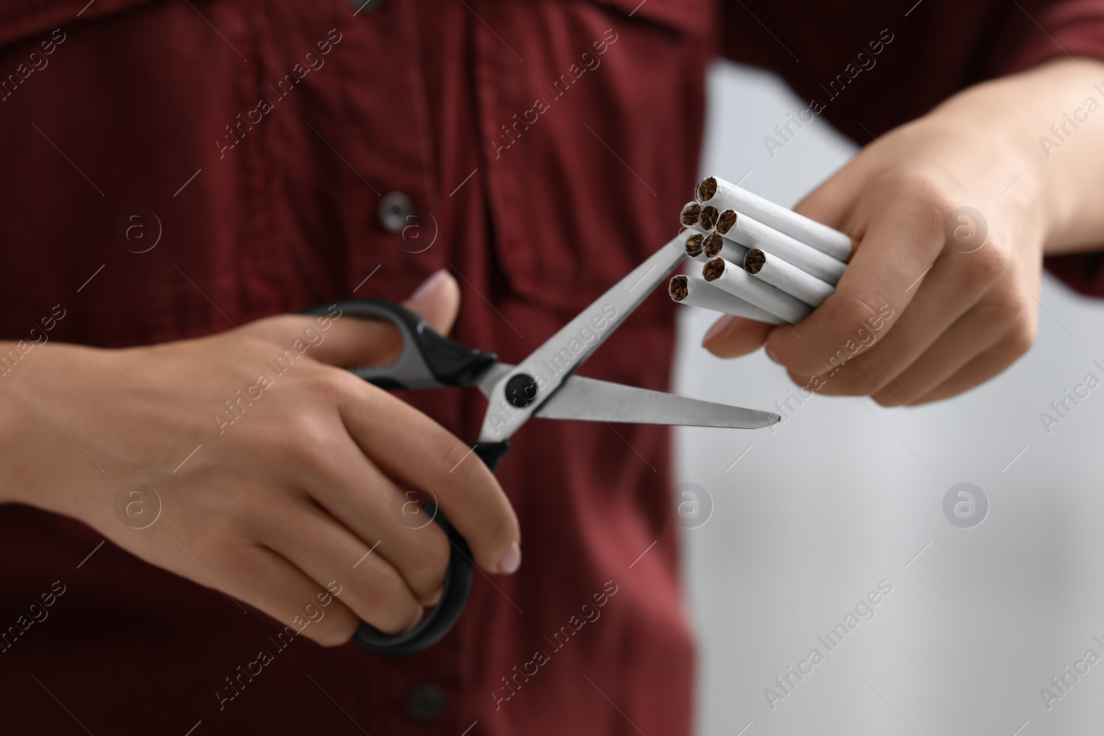 Photo of Stop smoking concept. Woman cutting cigarettes on light background, closeup