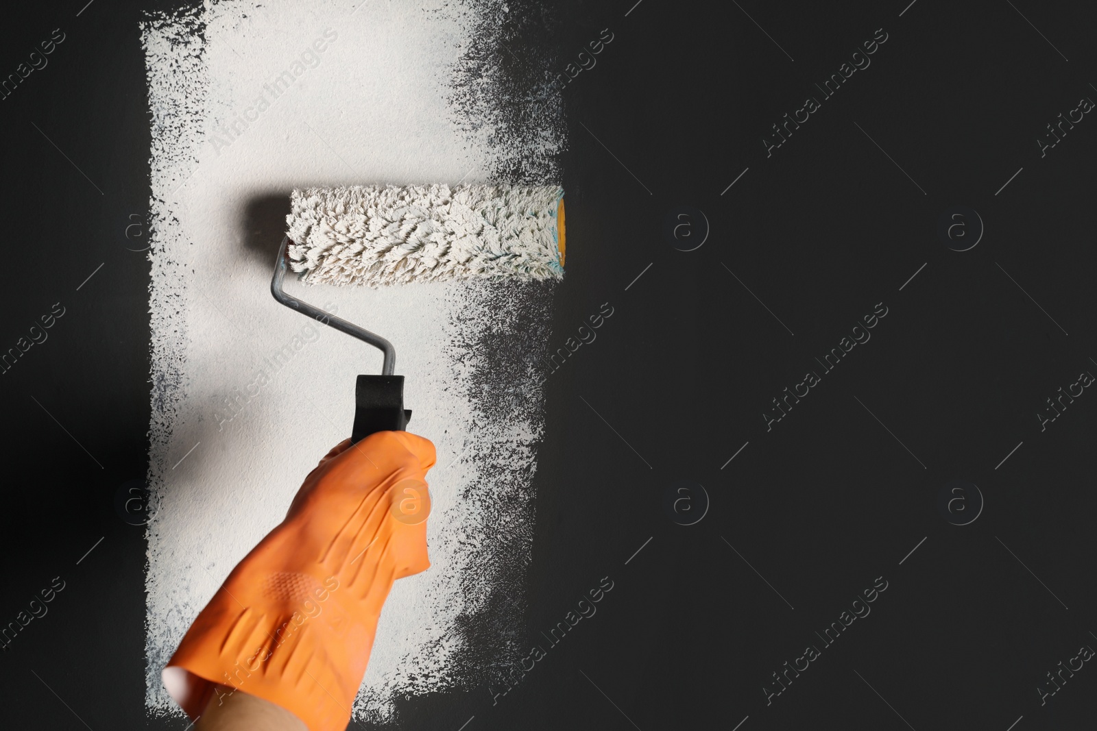 Photo of Woman painting grey wall with white dye, closeup