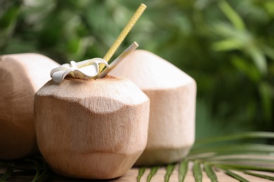 Photo of Young peeled coconuts with straws, palm leaf and flower on wooden table. Space for text