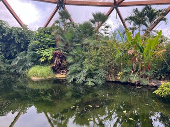 Photo of Rotterdam, Netherlands - August 27, 2022: Different tropical plants near pond in greenhouse