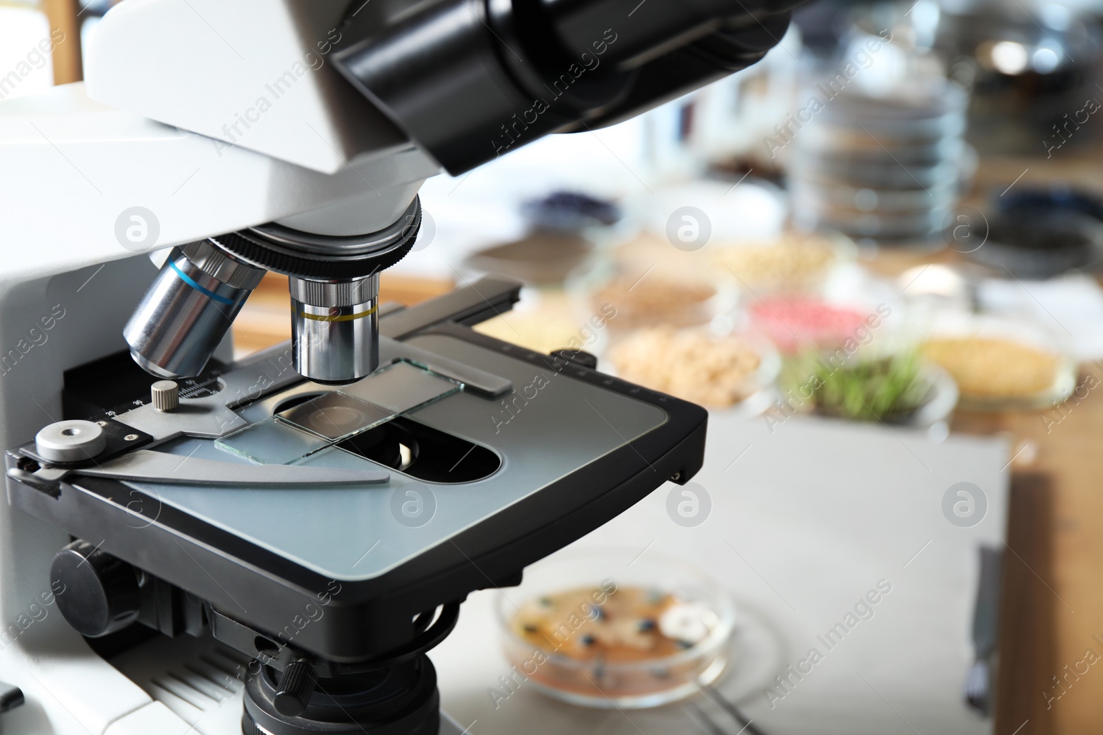 Photo of Modern microscope in laboratory, closeup. Phytopathological analysis