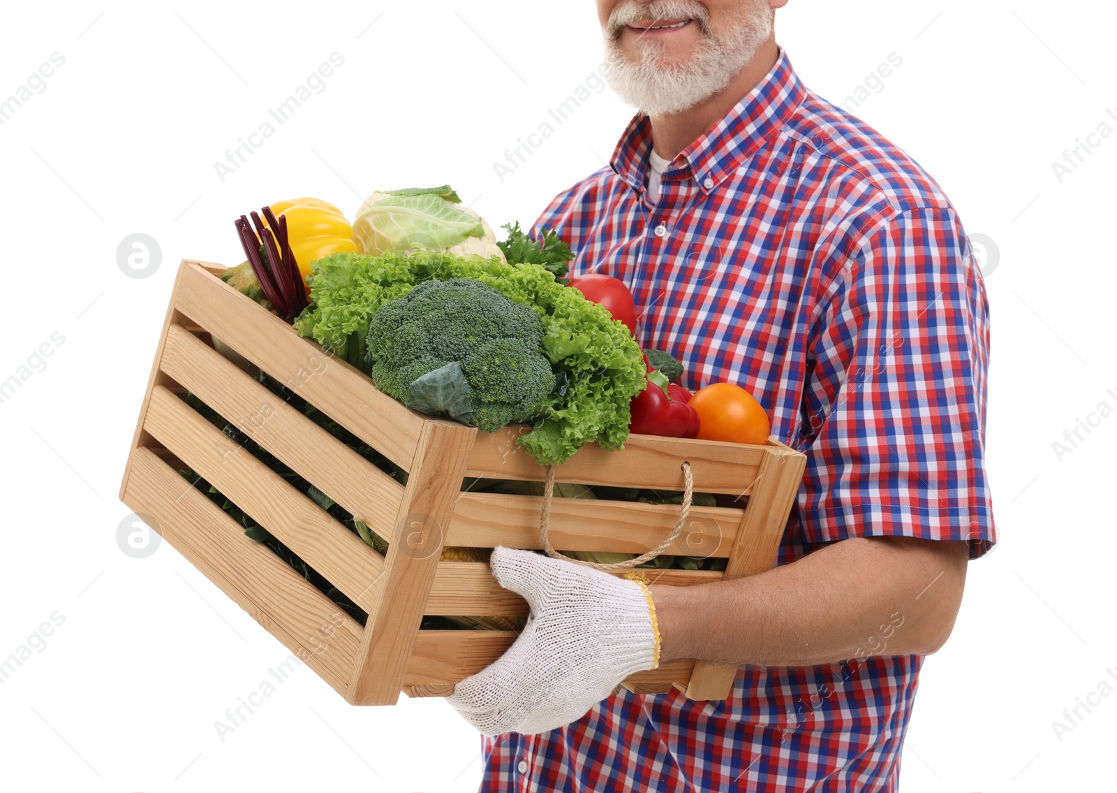 Photo of Harvesting season. Farmer holding wooden crate with vegetables on white background, closeup