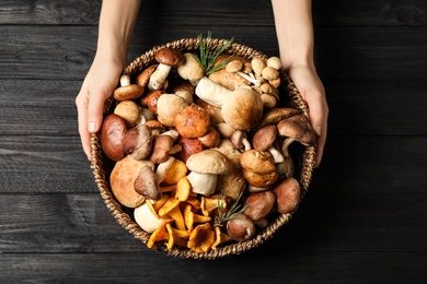 Photo of Woman holding wicker bowl with different wild mushrooms at black wooden table, top view