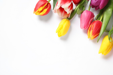 Beautiful spring tulips on white background, top view