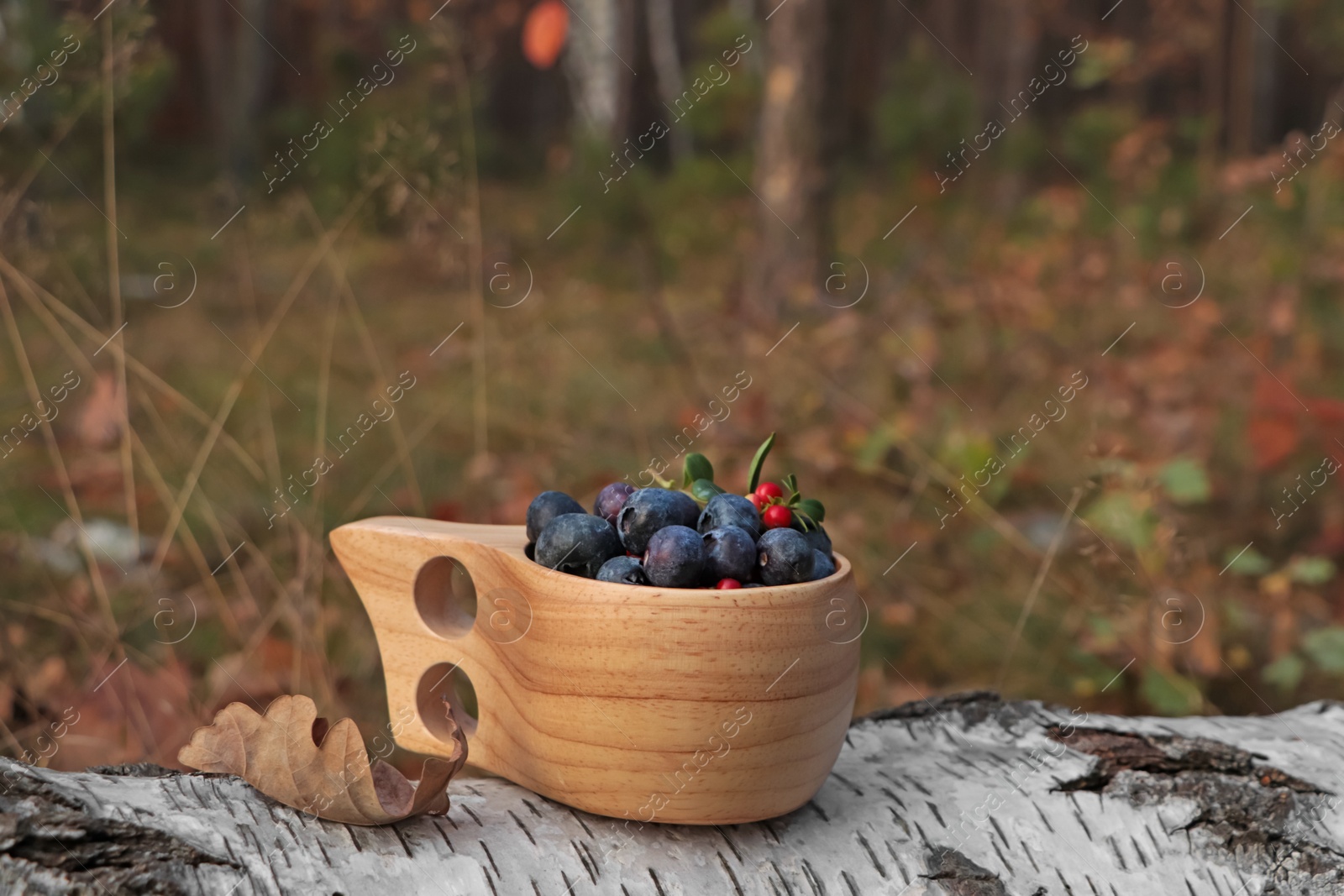 Photo of Wooden mug full of fresh ripe blueberries and lingonberries on log in forest