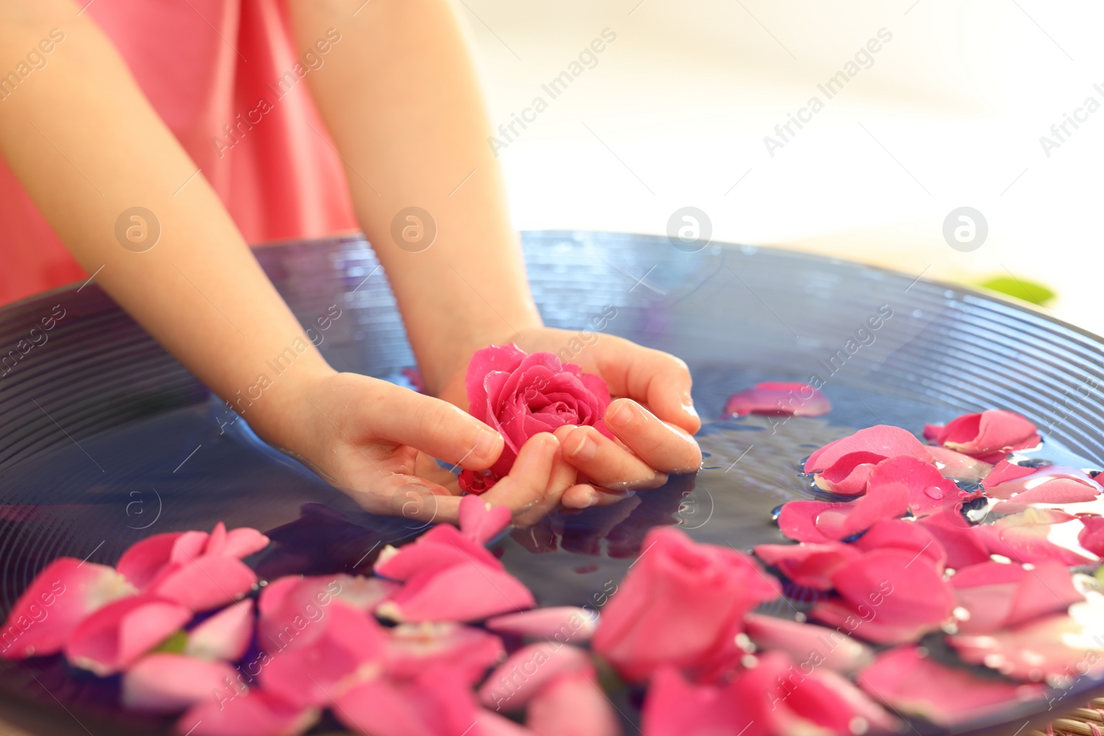 Photo of Child holding rose flower in bowl with water and petals on blurred background, closeup