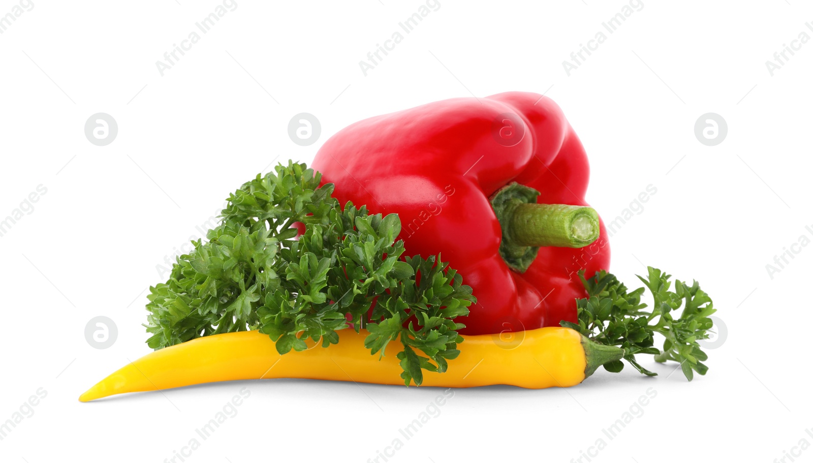 Photo of Green fresh parsley with paprika and chili pepper on white background