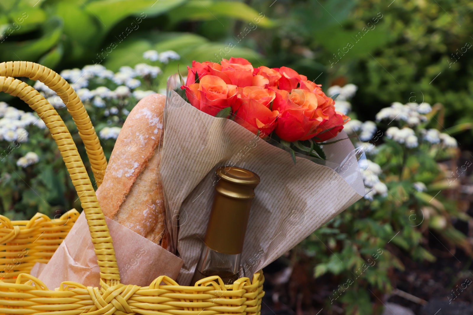 Photo of Yellow wicker bag with beautiful roses, bottle of wine and baguettes in garden, closeup