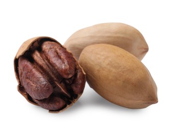 Photo of Three tasty pecan nuts isolated on white