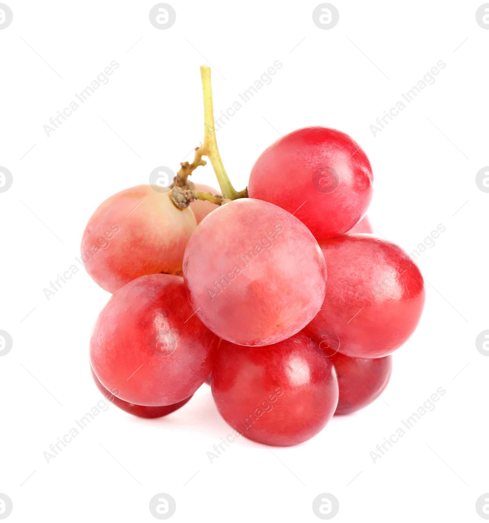 Photo of Bunch of red grapes isolated on white