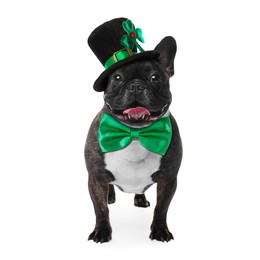 Image of St. Patrick's day celebration. Cute French bulldog with green bow tie and leprechaun hat isolated on white