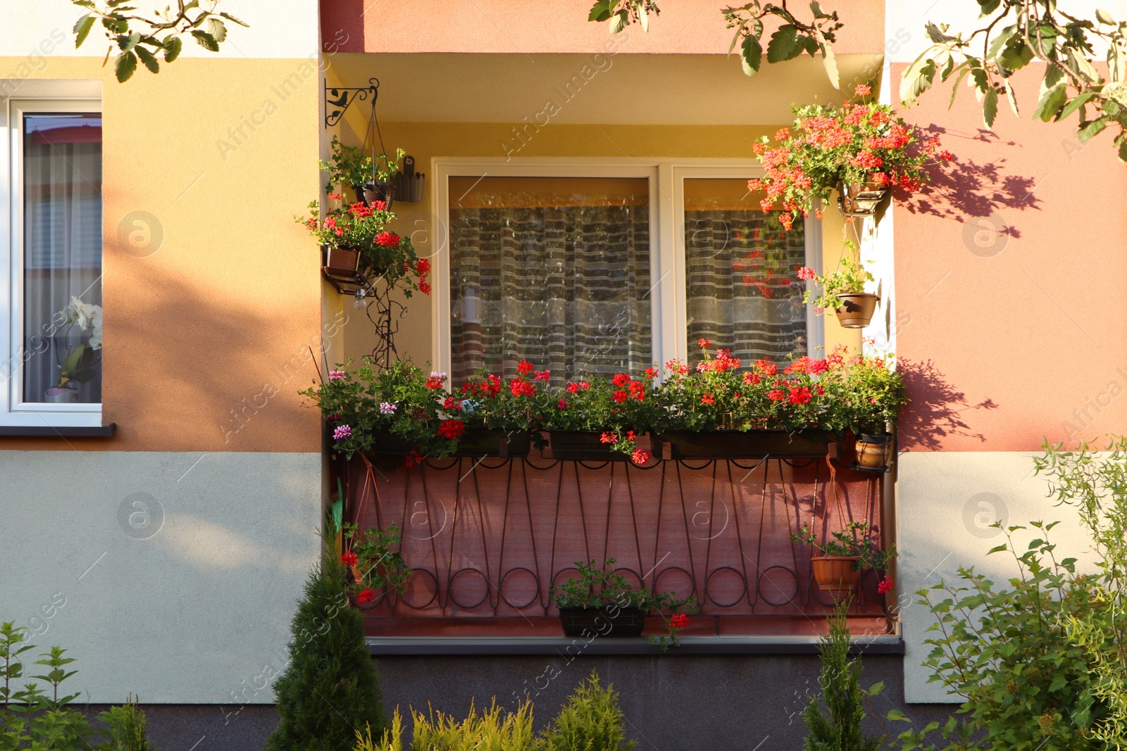 Photo of Balcony decorated with beautiful blooming potted plants on sunny day