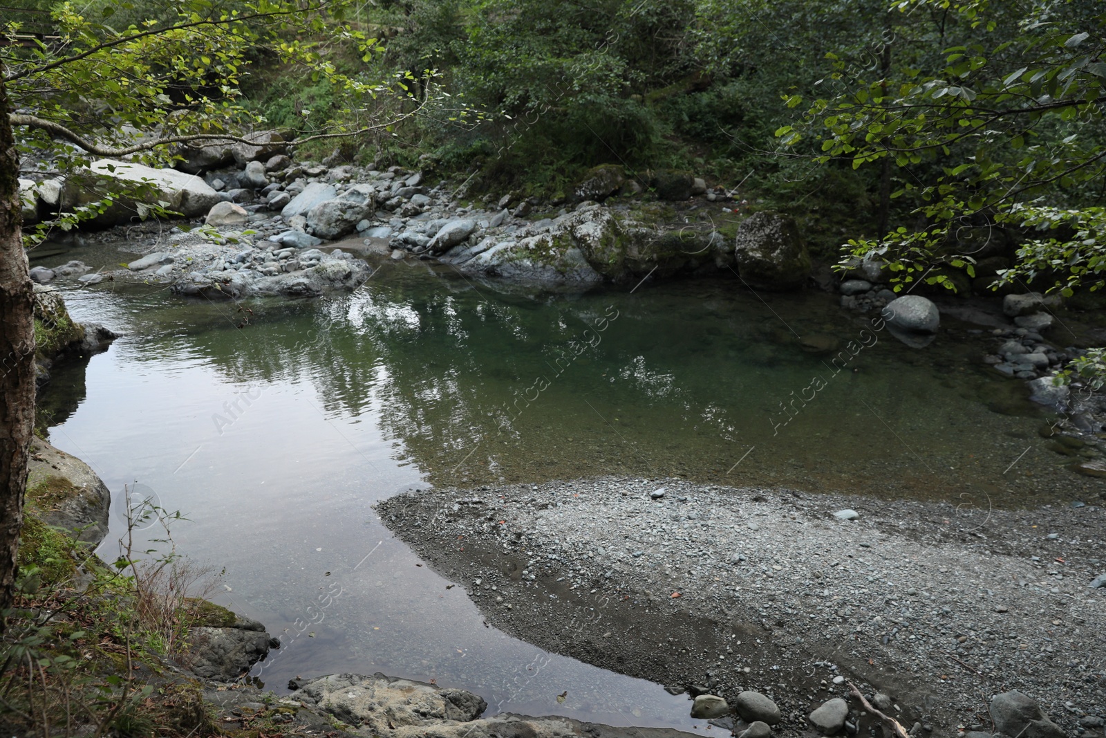 Photo of Beautiful view of small river and stone coast outdoors