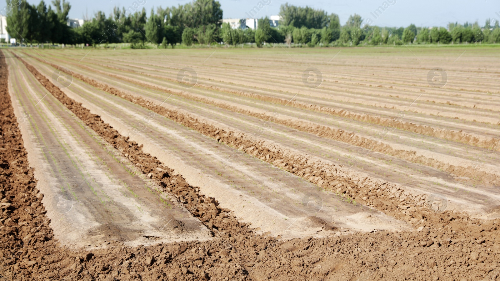 Photo of Beautiful landscape with ploughed field on sunny day