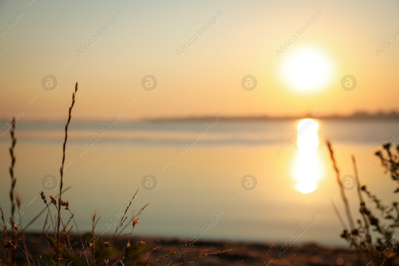 Photo of Picturesque view of beautiful sunrise on riverside. Morning sky