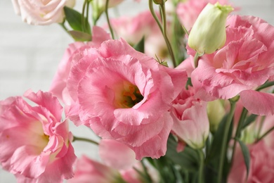 Photo of Beautiful Eustoma flowers on light background, closeup