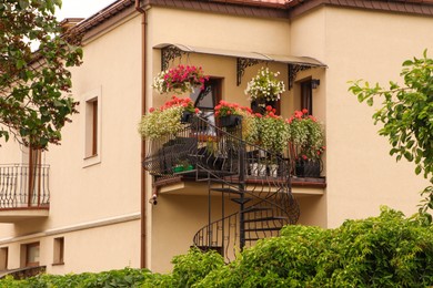 Balcony decorated with beautiful blooming potted flowers and stairs