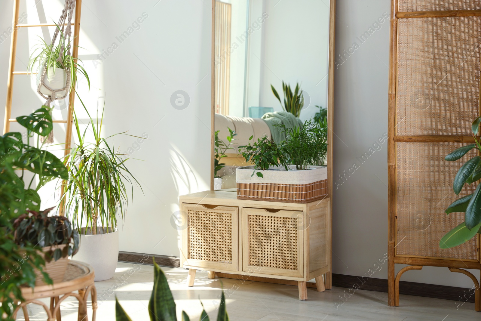 Photo of Stylish room interior with large mirror and different beautiful houseplants