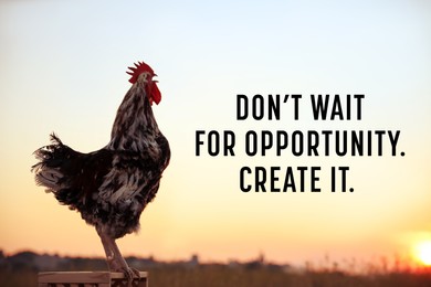 Don't Wait For Opportunity Create It. Inspirational quote motivating to take first step, to be active. Text against view of rooster crowing in morning