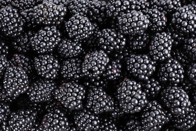 Tasty ripe blackberries as background, top view