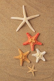 Photo of Many beautiful sea stars on sand, flat lay