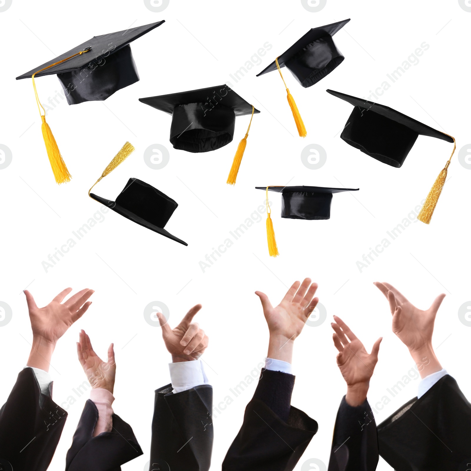 Image of Group of graduates throwing hats against white background, closeup 