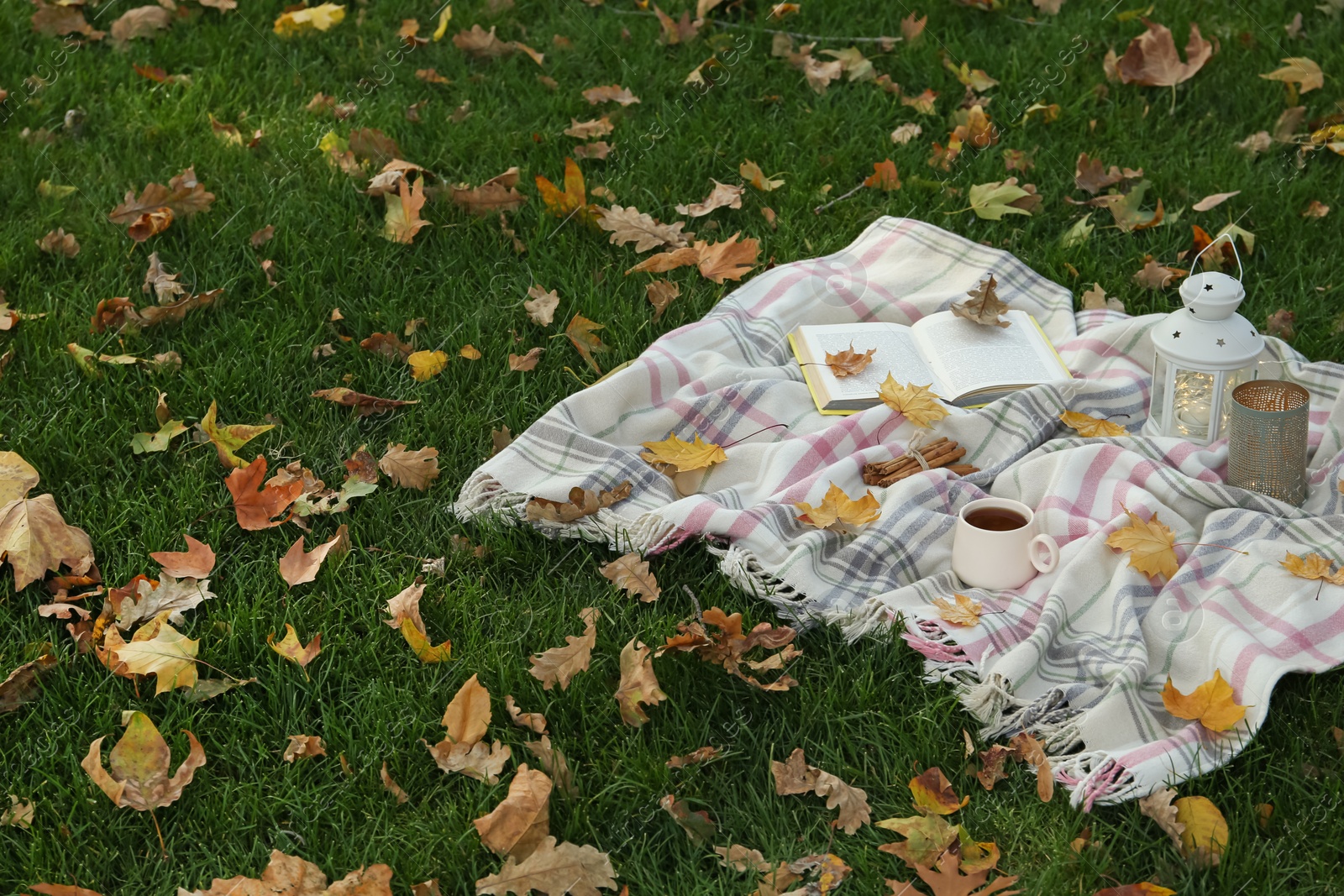 Photo of Plaid, cup of coffee, book, lantern and candle on green grass covered with autumn leaves. Space for text