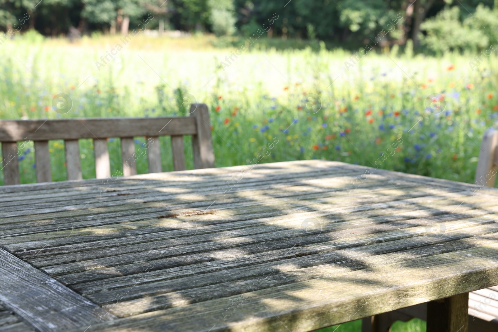 Photo of Empty wooden table with bench on sunny day in garden