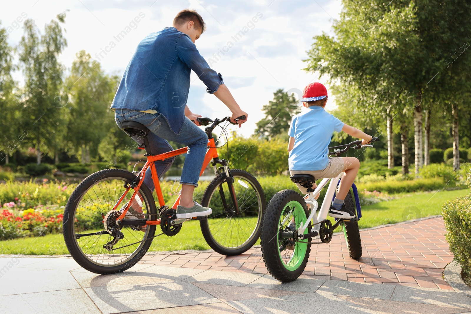 Photo of Dad and son riding modern bicycles outdoors