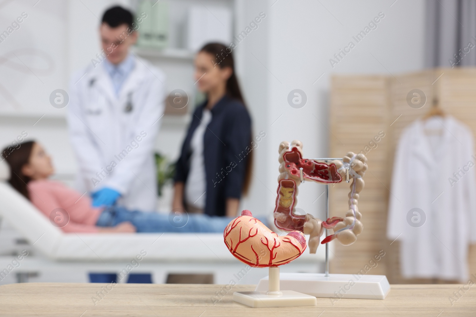 Photo of Gastroenterologist examining girl in clinic, focus on models of stomach and intestine on table