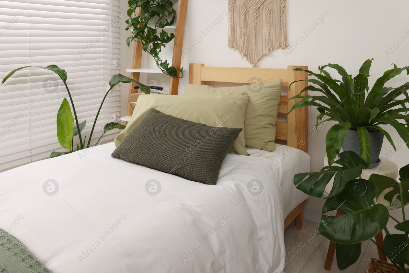 Photo of Large comfortable bed and potted houseplants in stylish bedroom. Interior design