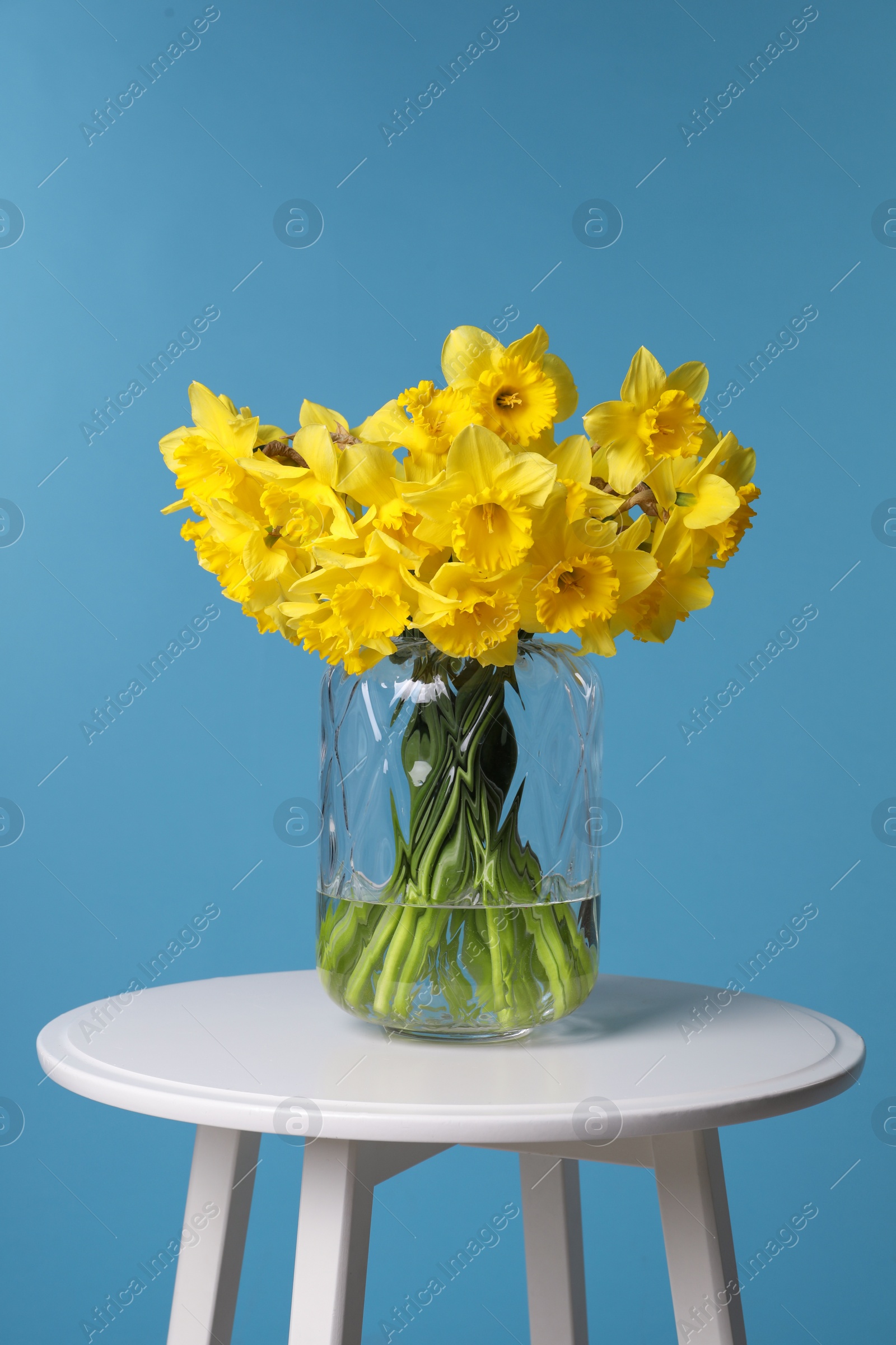Photo of Beautiful daffodils in vase on white table against light blue background