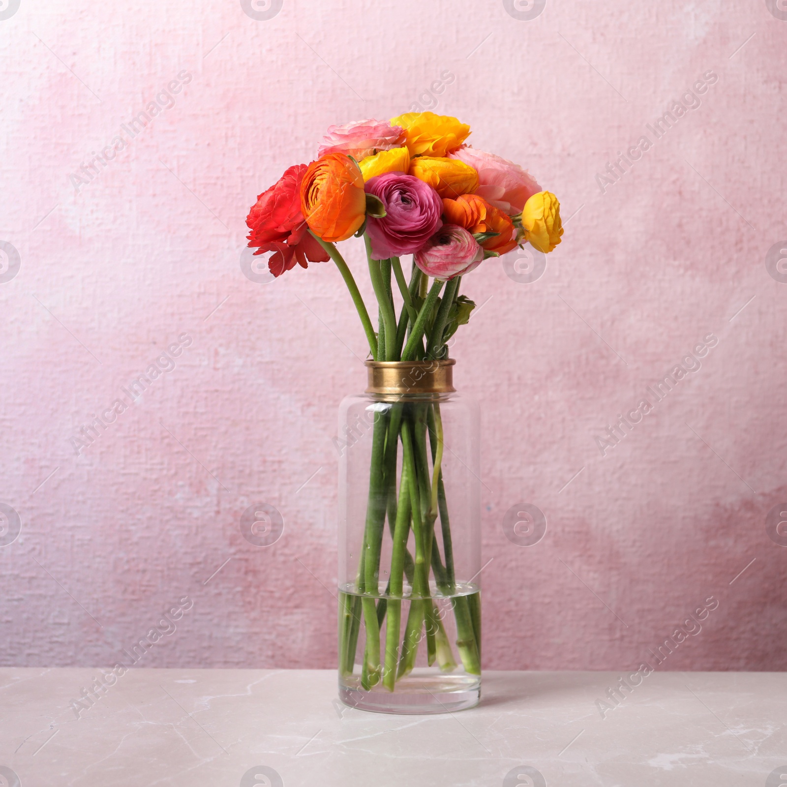 Photo of Beautiful fresh ranunculus flowers in vase on white table near color wall