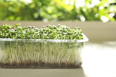 Sprouted arugula seeds in plastic container on wooden table, closeup