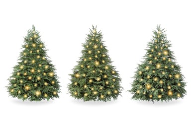 Image of Christmas trees decorated with festive lights isolated on white, set