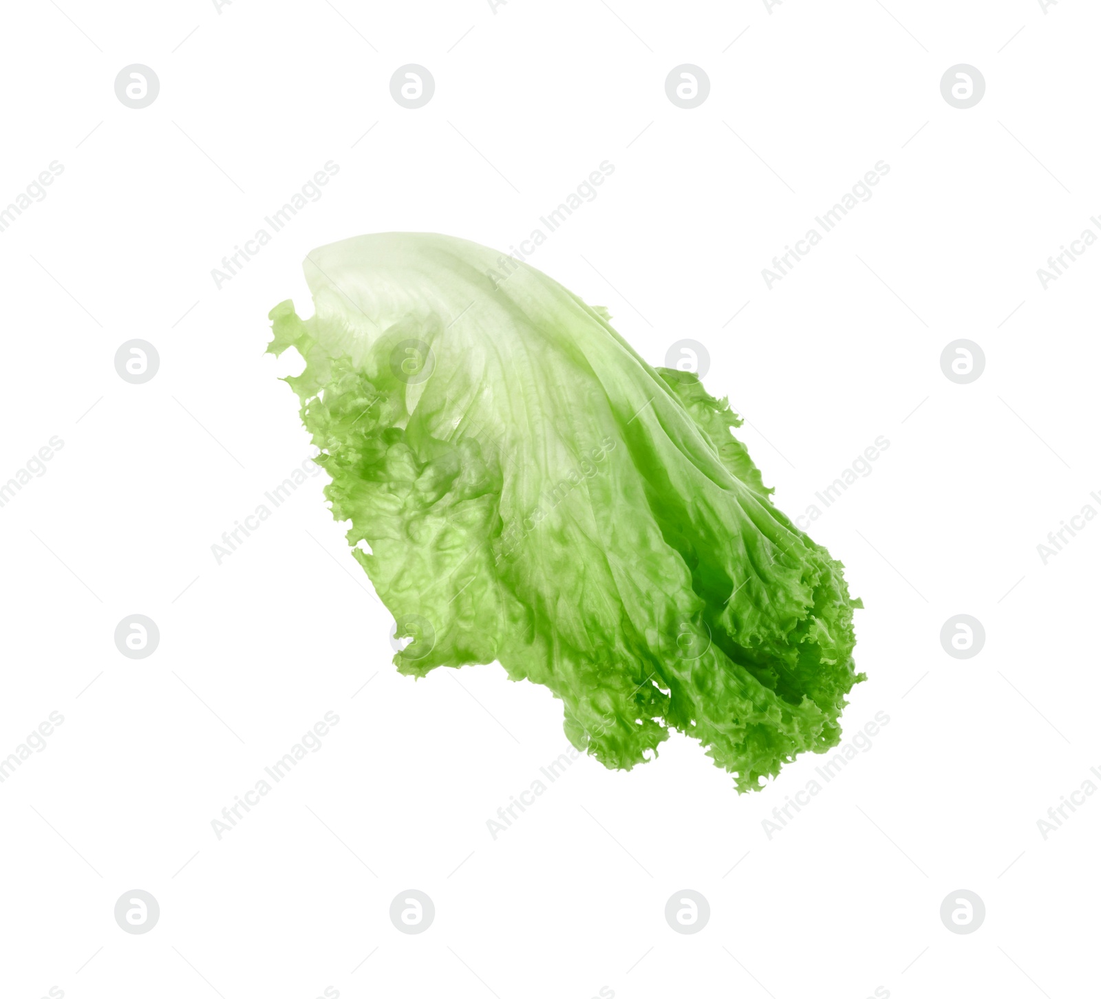 Photo of One green lettuce leaf isolated on white. Salad greens