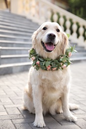 Photo of Adorable golden Retriever wearing wreath made of beautiful flowers outdoors