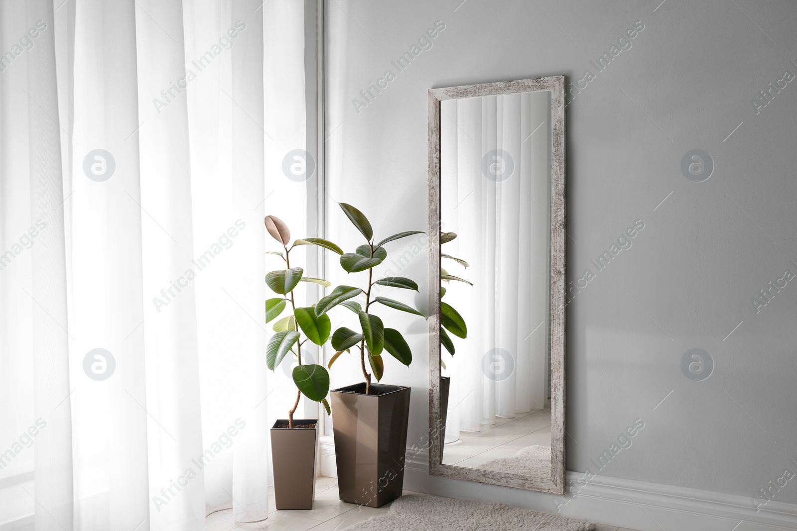 Photo of Large mirror and plants near window in light room