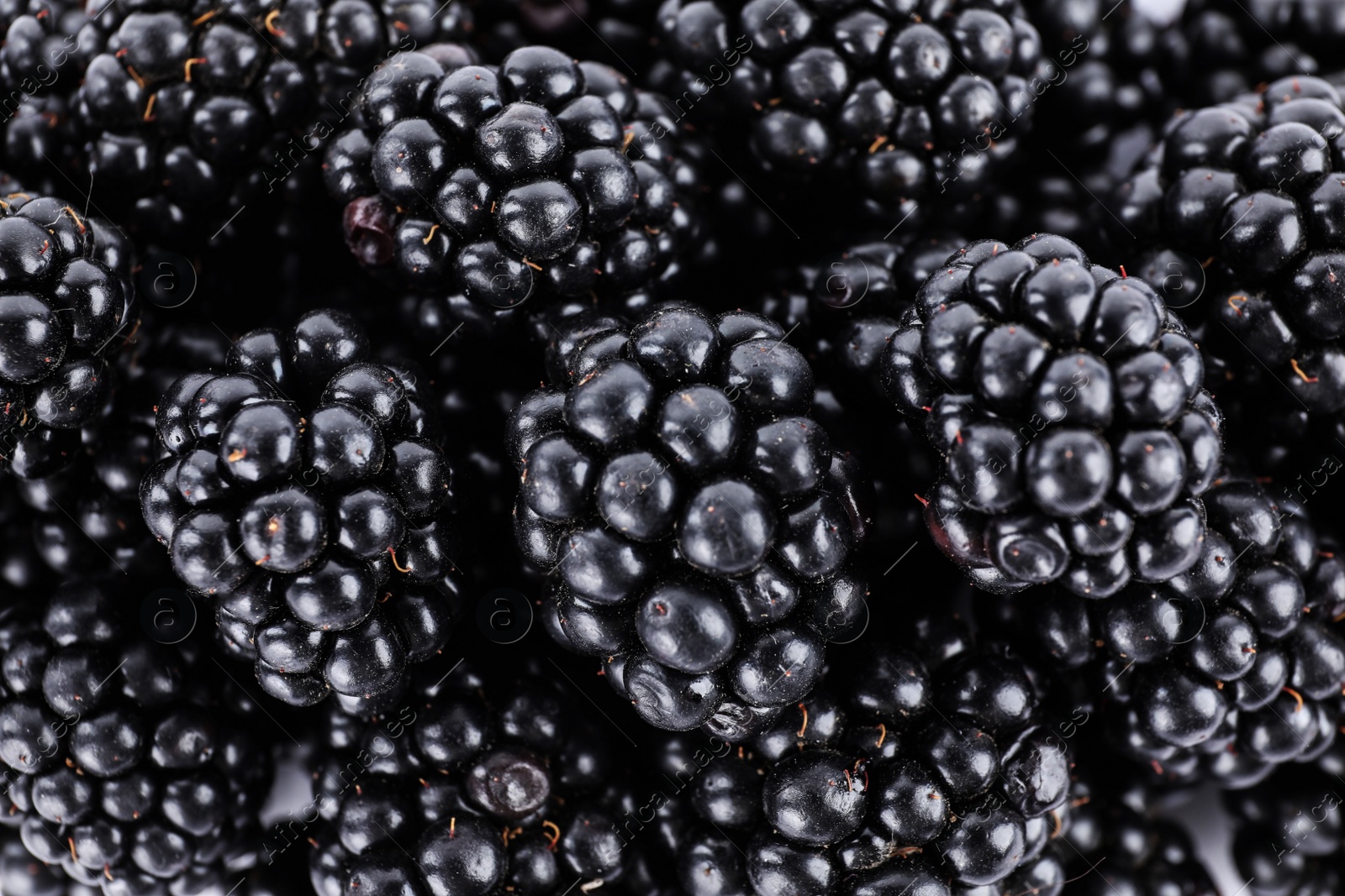 Photo of Tasty ripe blackberries as background, top view