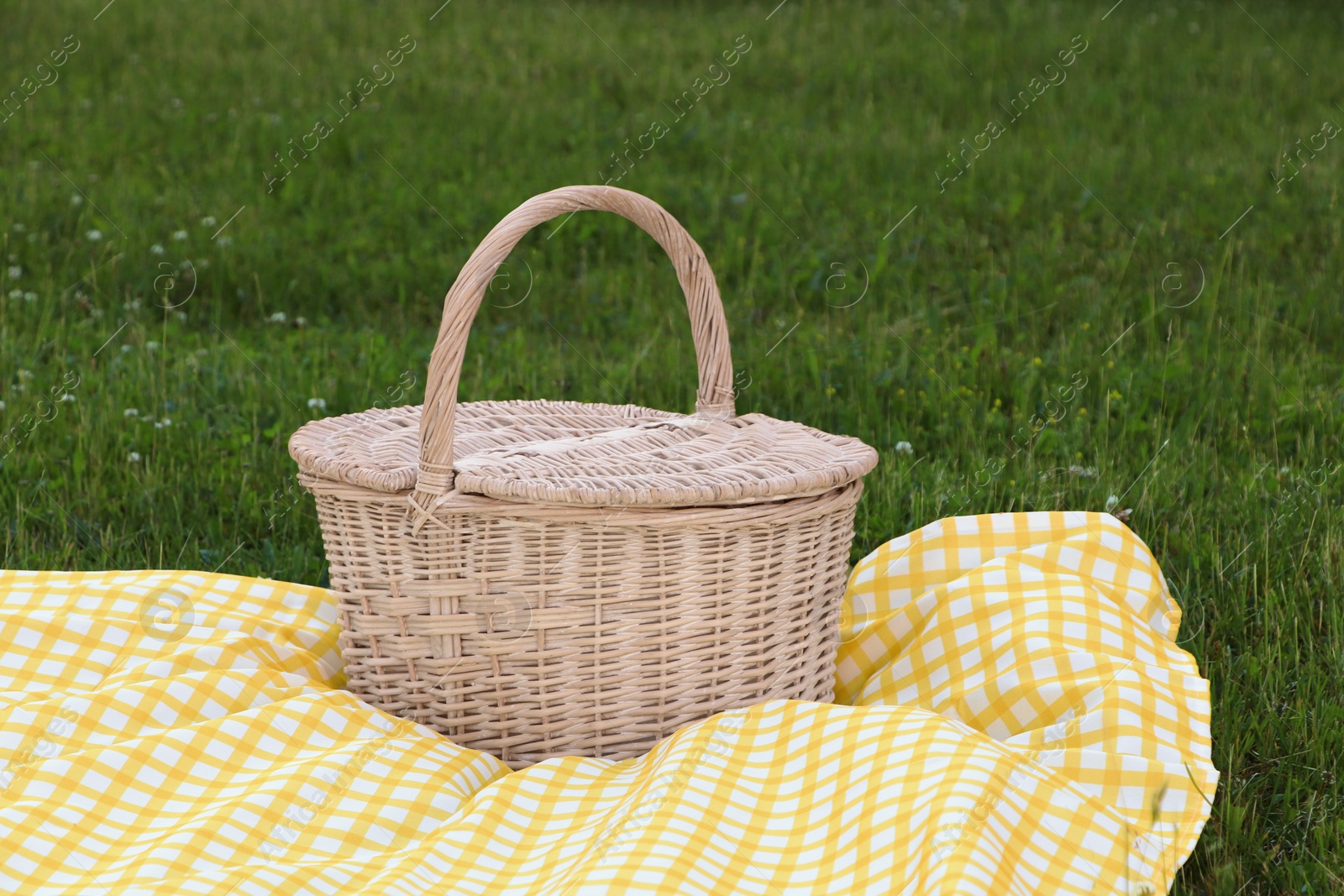 Photo of Picnic basket with checkered tablecloth on green grass outdoors