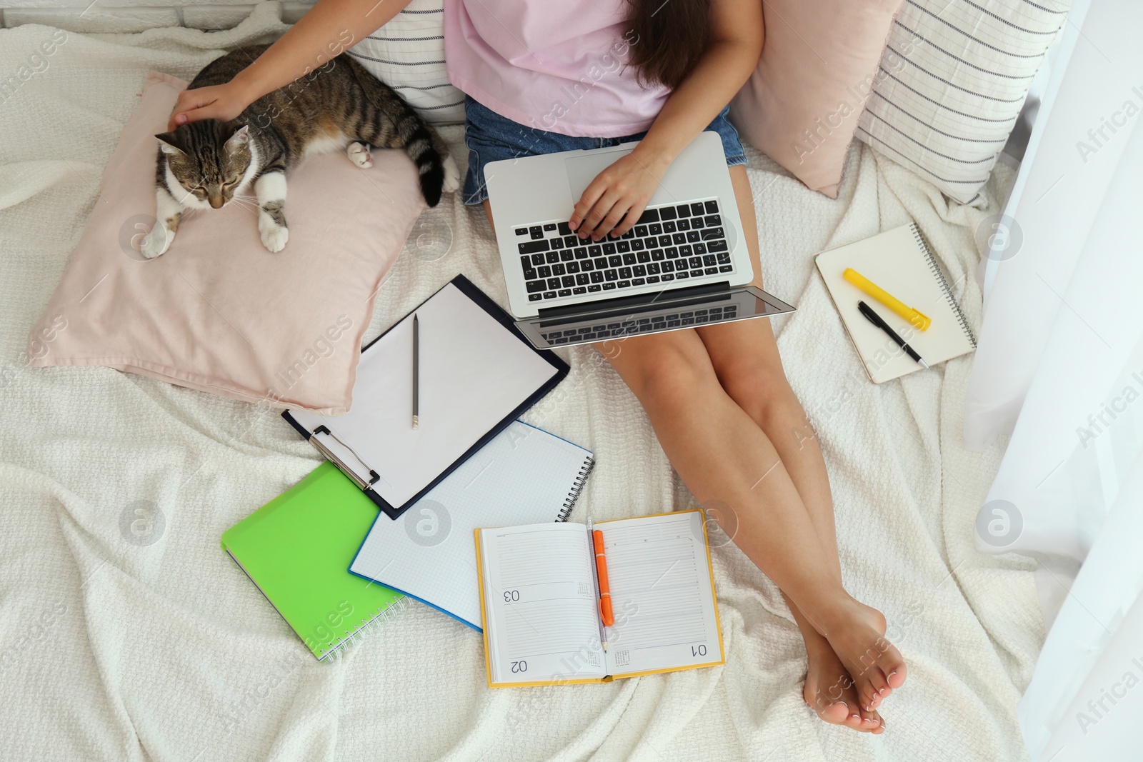 Photo of Young woman with cat working on laptop, above view. Home office concept